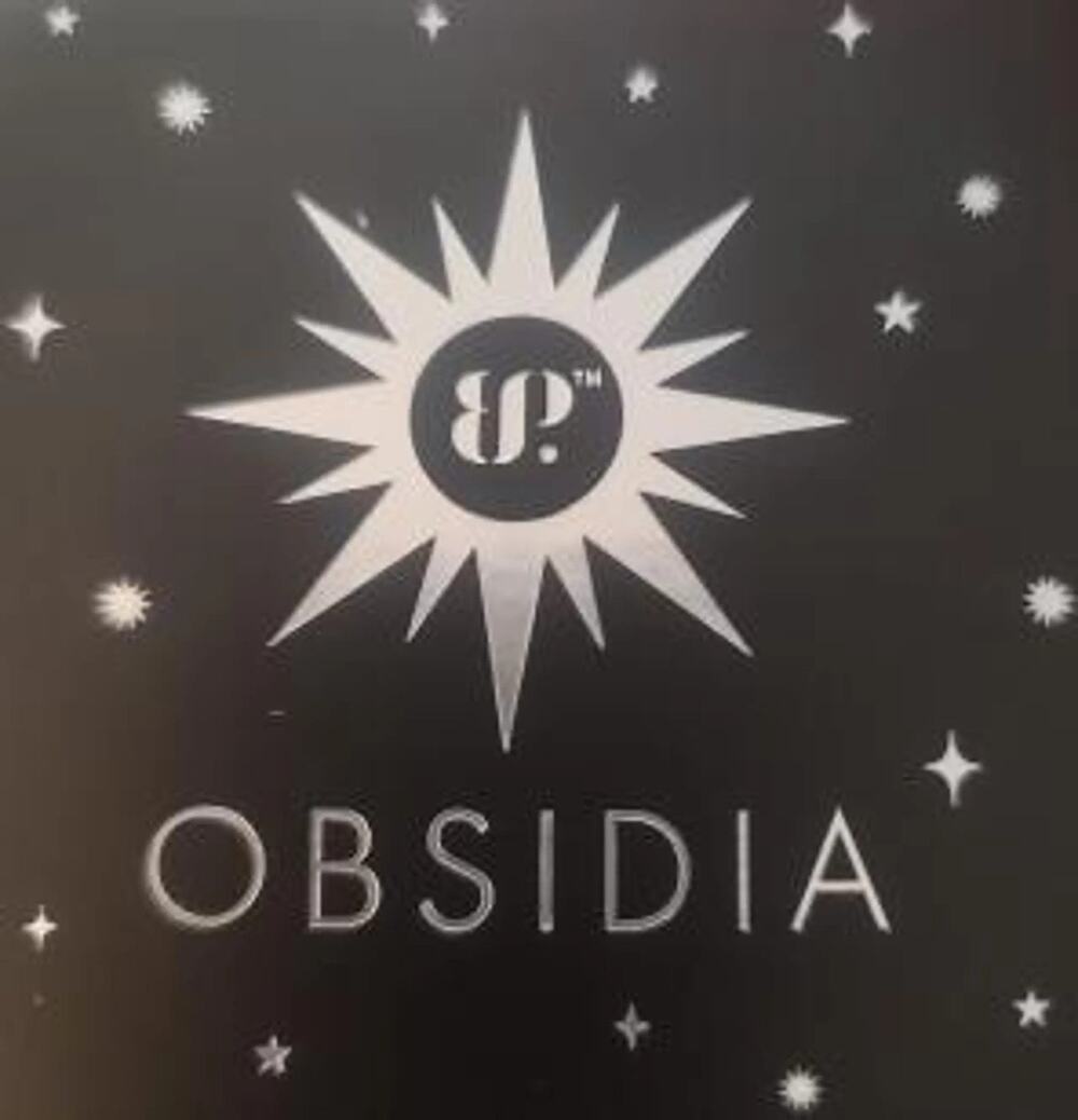 Bomb Party Obsidia Drip Discipline Earrings